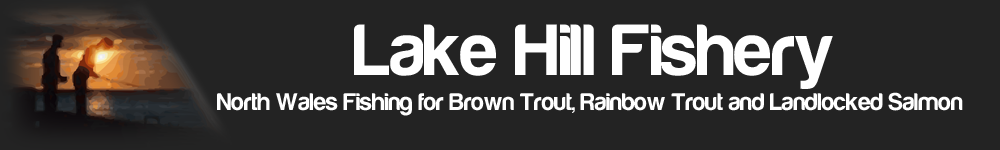 Lake Hill Fishery