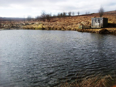 Lodge Pool